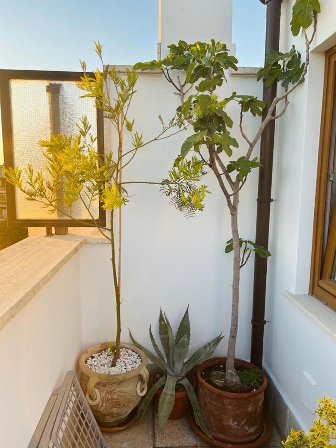 מלון לידו די אוסטיה Ostium Sea Star מראה חיצוני תמונה